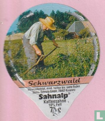 Schwarzwald 01