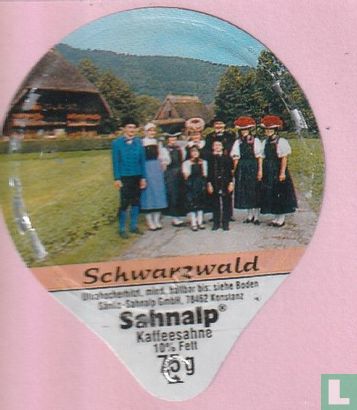 Schwarzwald 05