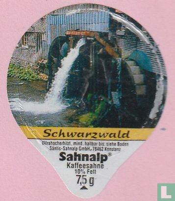 Schwarzwald 08