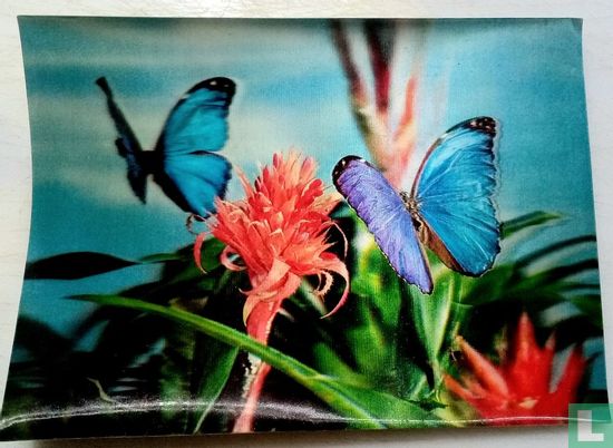 Papillons bleus - Image 1