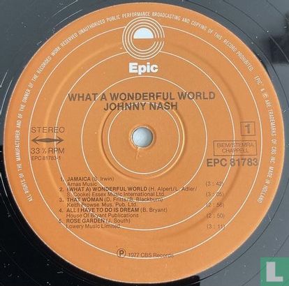 What a Wonderful World - Image 3