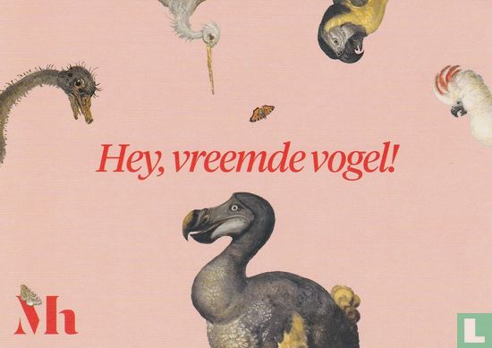 B240408 - Mauritshuis "Hey, vreemde vogel!" - Afbeelding 1