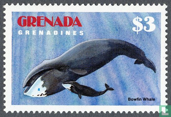Marine mammals