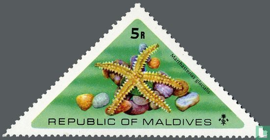 Zeedieren