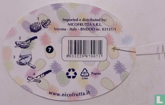 Nicofrutta (ananas) - Image 2
