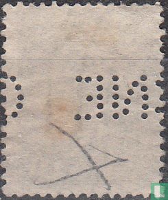 Sämling - Bild 2