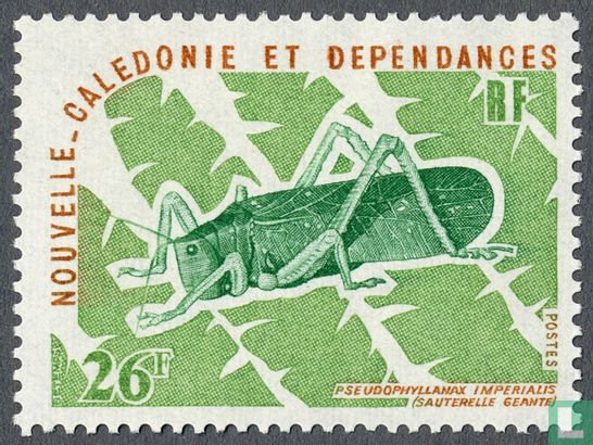 Insects