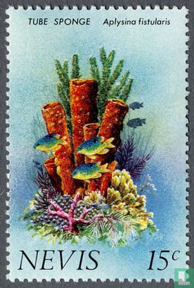 Sponges and corals