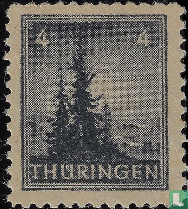 Pine trees - Image 1