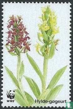 Deense orchideeën