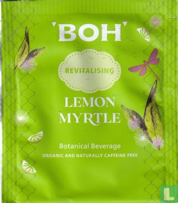 Lemon Myrtle - Afbeelding 1