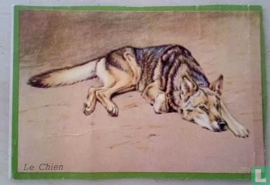 Le chien. - Afbeelding 1