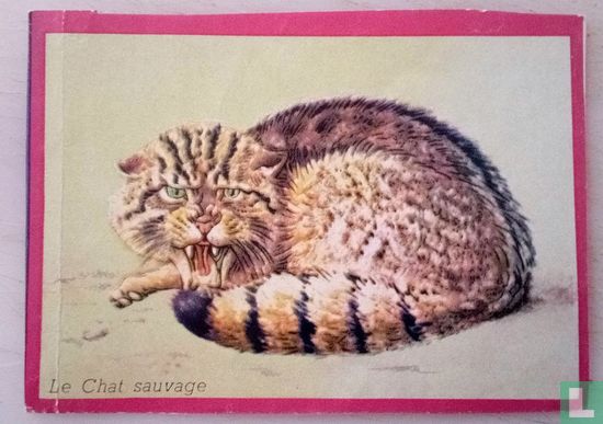 Le chat sauvage. - Bild 1
