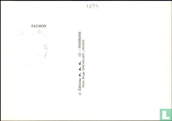Salmon - Image 2