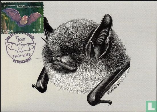 Bats - Image 1
