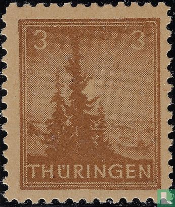 Dennenbomen - Afbeelding 1
