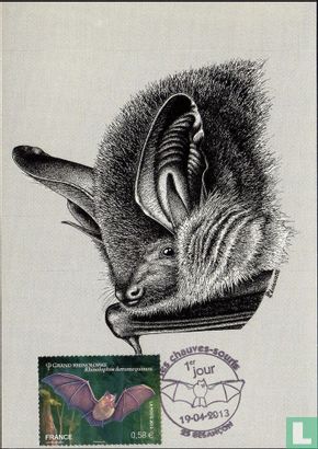 Bats - Image 1