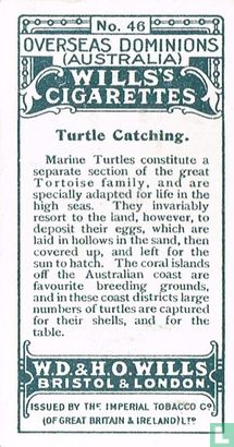 Turtle Catching - Image 2