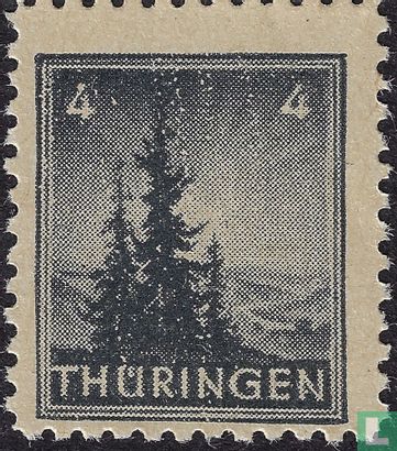 pine trees - Image 1