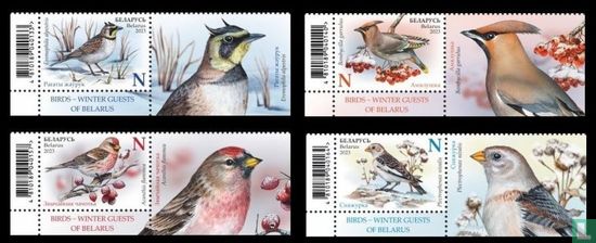 Birds