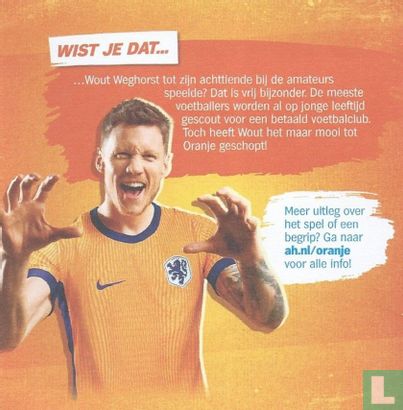 Wout Weghorst - Afbeelding 3