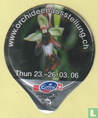 Orchideen 18