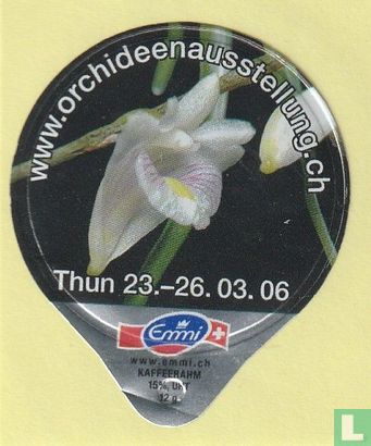 Orchideen 03