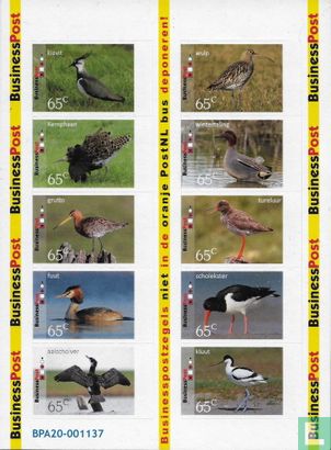 Vogels - Afbeelding 1