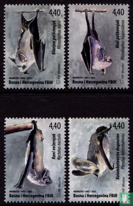 Chauves-souris