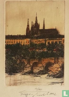 De Praagse Burcht - Praag