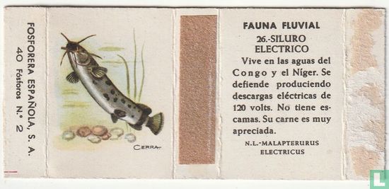Siluro Electrico