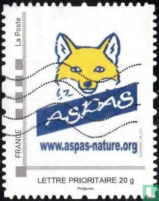 Aspas nature