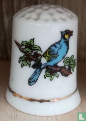 [Blauwe vogel op boomtak] - Image 1