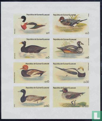 Oiseaux d'eau