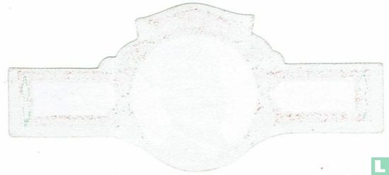 Hendrickx J. - Image 2