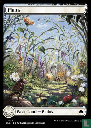 Plains - Afbeelding 1