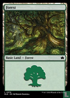 Forest - Afbeelding 1