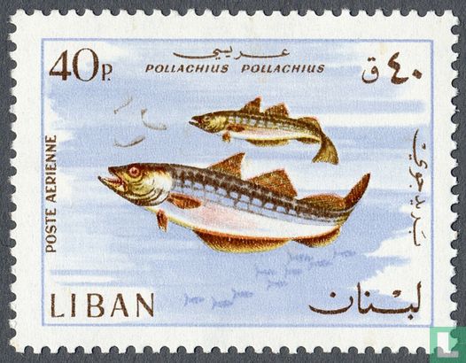 Fish