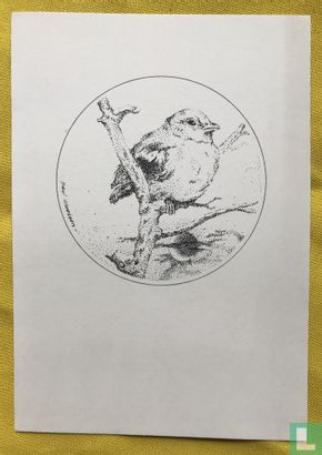 Jonge vogel