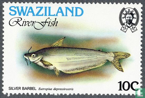Poisson de rivière