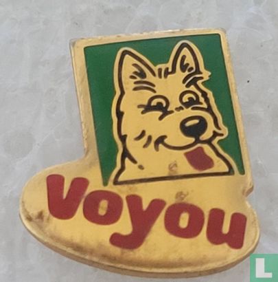 Voyou