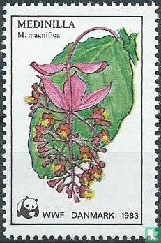 Red de regenwouden - Image 1