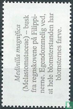 Red de regenwouden - Image 2