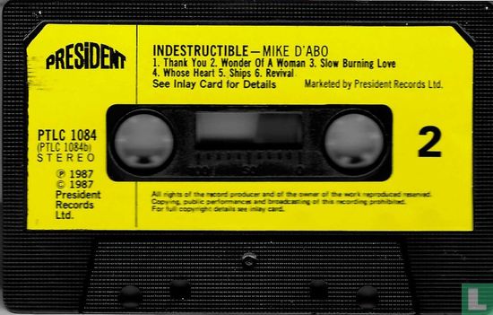 Indestructible - Bild 4