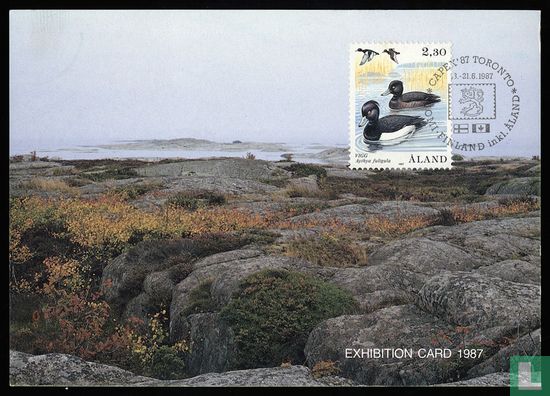 Ducks - Image 1