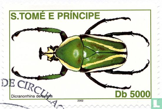Insecten