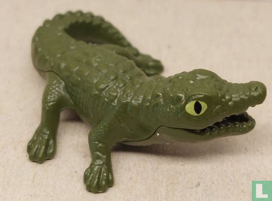 Crocodile cub - Image 1