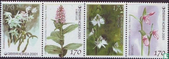Orchids