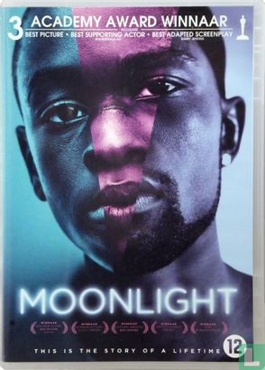 Moonlight - Image 6