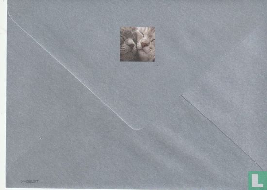 Bordercollie - Image 4